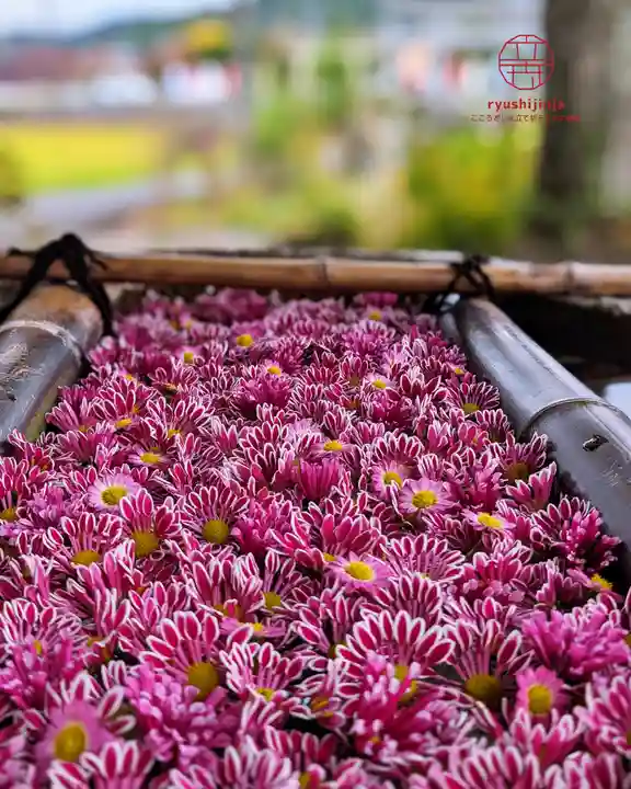 立志神社(滋賀県)