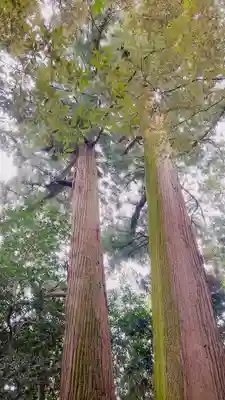 佐那神社(三重県)