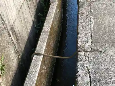 大斎原（熊野本宮大社旧社地）(和歌山県)