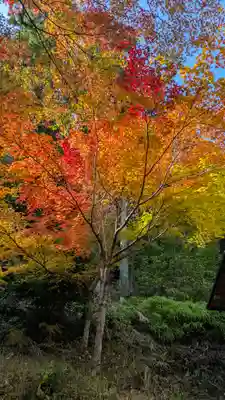 善妙大明神(京都府)
