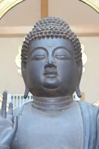 國分寺（国分寺）(京都府)