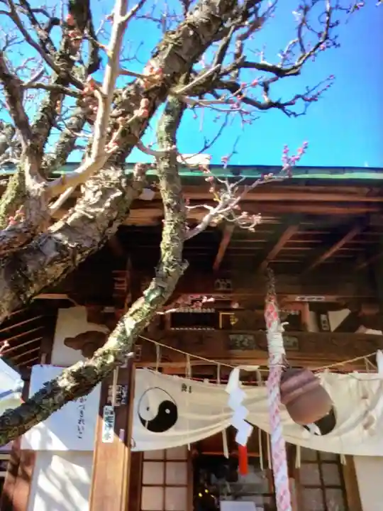 四谷於岩稲荷田宮神社(東京都)