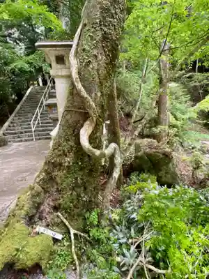 川上山若宮八幡宮(三重県)