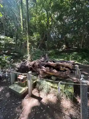 泉神社(茨城県)