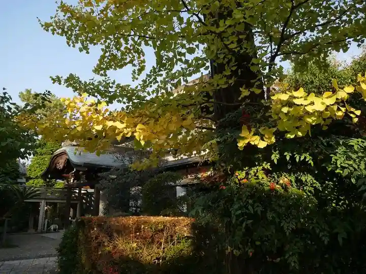 西澄寺のその他建物