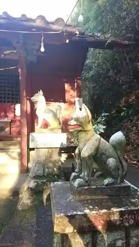 菅東山出世稲荷神社の狛犬