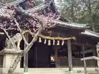 八幡神社(兵庫県)