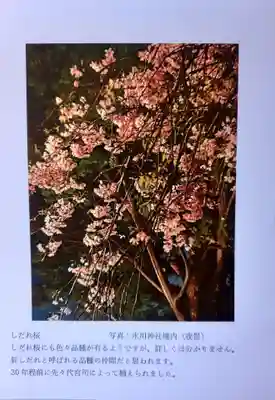 相模原氷川神社(神奈川県)