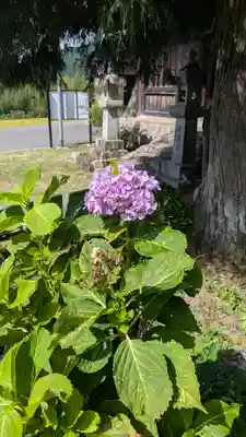 浄楽堂（観音堂）(京都府)