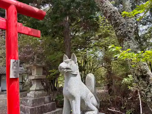 丸山稲荷神社奥社の狛犬