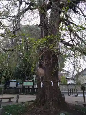 今宮神社(栃木県)