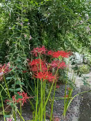 勝念寺（かましきさん）(京都府)