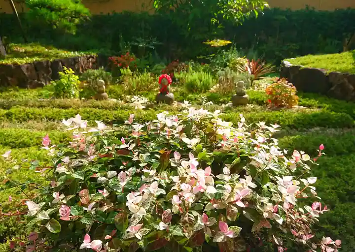 寿量山 速成寺の自然