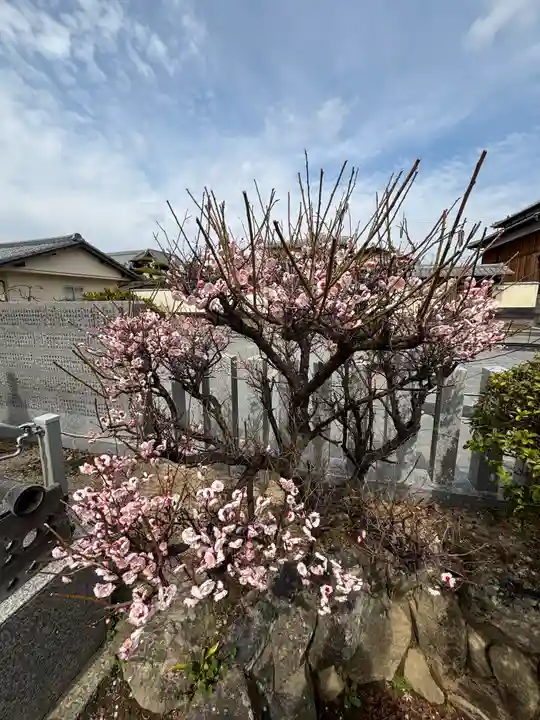 天神社(兵庫県)
