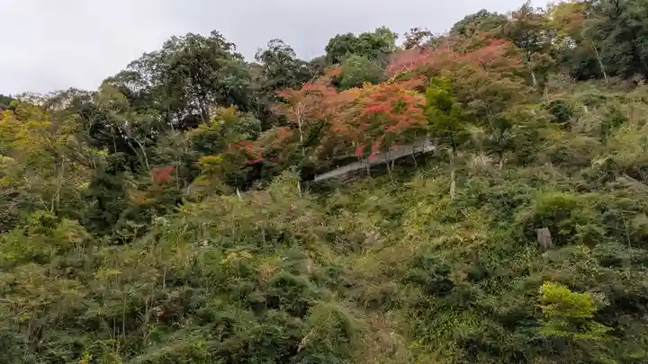 善峯寺(京都府)
