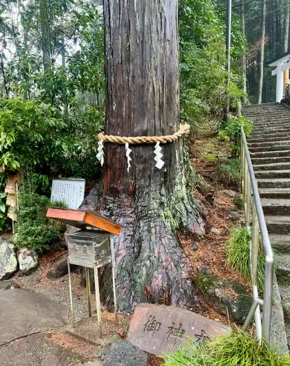 神場山神社(静岡県)