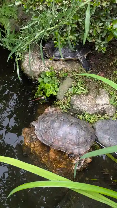 宝蔵寺(京都府)