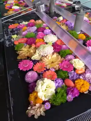 成田山深川不動堂（新勝寺東京別院）(東京都)