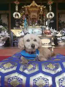 聖光寺の本殿・本堂(2023年06月13日(火) 12時08分16秒投稿)