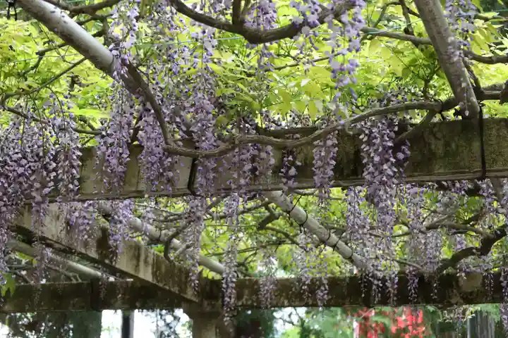 立木神社(滋賀県)