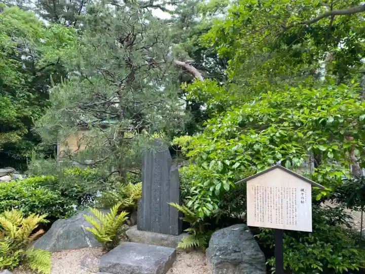 浜松八幡宮の自然