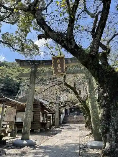 春日神社の鳥居