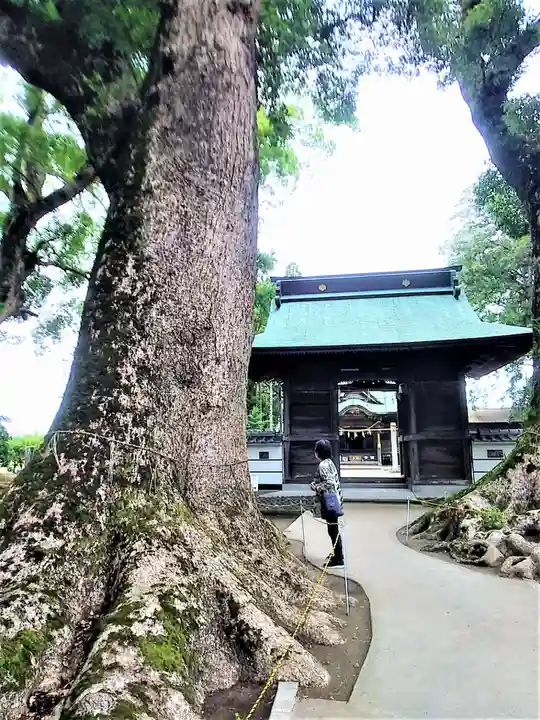 溝口竃門神社の自然