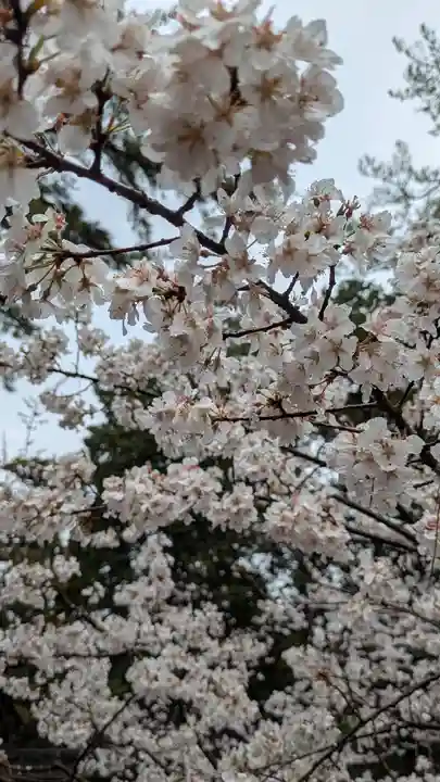 建部大社(滋賀県)