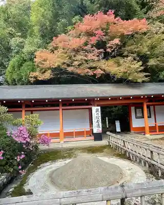 鞍馬寺(京都府)