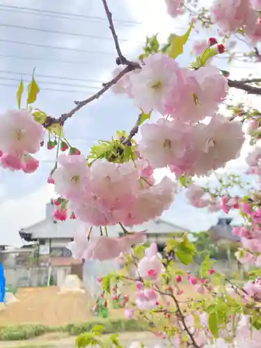 内外大神宮(茨城県)