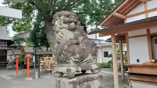 正ノ木稲荷 稲積神社の狛犬