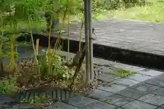 橿森神社の動物