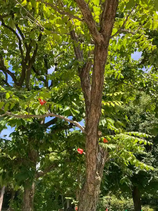 大安寺(奈良県)