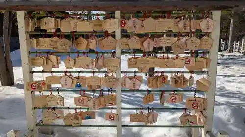 上川神社の絵馬