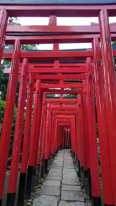 根津神社の鳥居