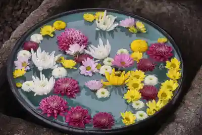 大鏑神社の手水舎
