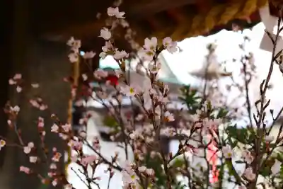 三津厳島神社(愛媛県)
