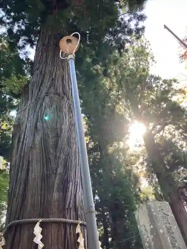 河口浅間神社(山梨県)