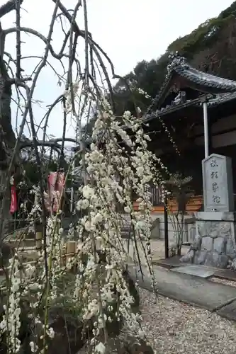 吉祥寺(愛知県)