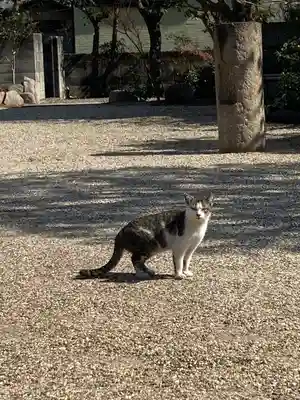 荘嚴浄土寺(大阪府)