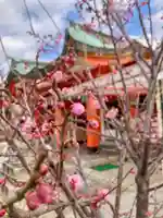 多治速比売神社(大阪府)