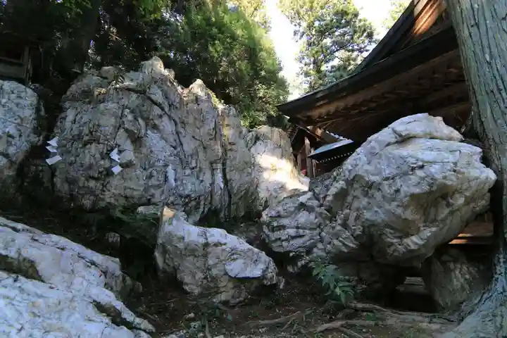 鹿島大神宮の自然