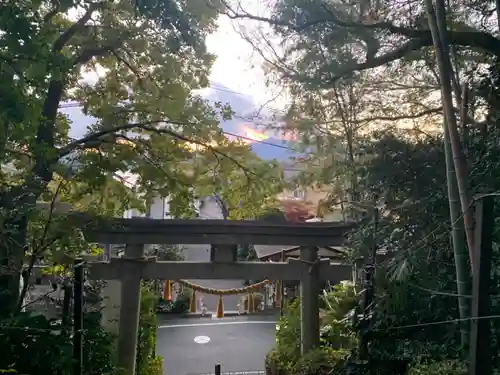 座間神社の鳥居