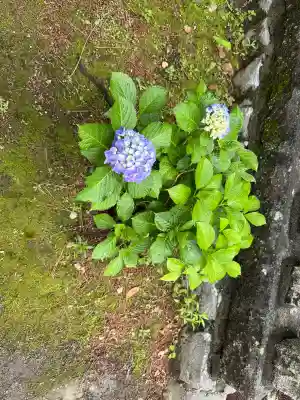 貴布禰神社(静岡県)