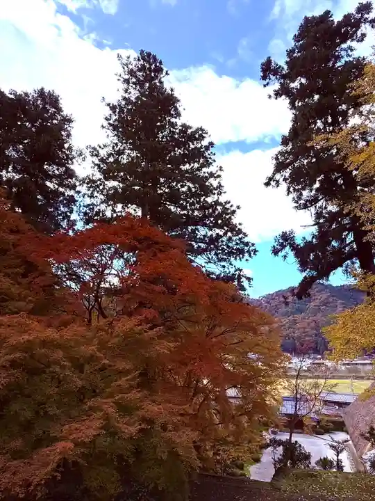 萬徳寺(福井県)