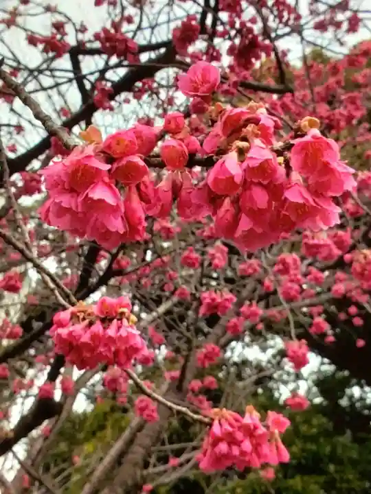 靖國神社(東京都)
