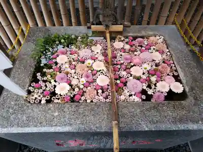 高円寺氷川神社(東京都)