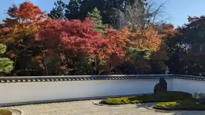 宝徳寺(群馬県)