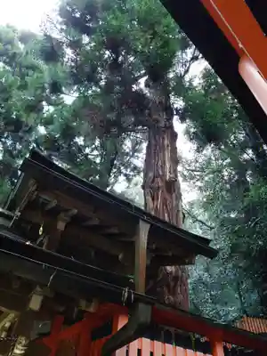 薬力社(京都府)