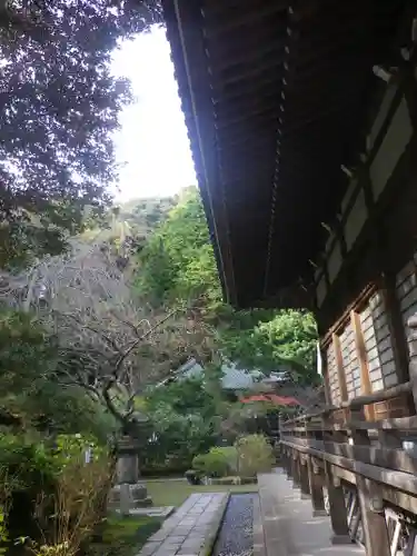 安國論寺（安国論寺）の庭園